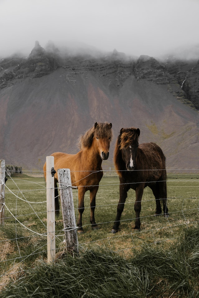 Image by Nick Bondarev